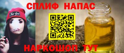 стаф Берёзовский