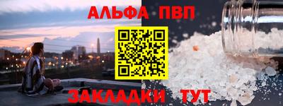 стаф Берёзовский