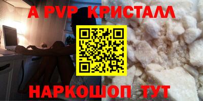 стаф Берёзовский