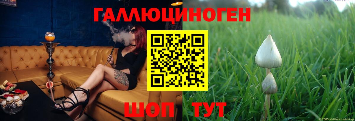 Галлюциногенные грибы мицелий  где купить наркоту  Борисоглебск  Вход с VPN 